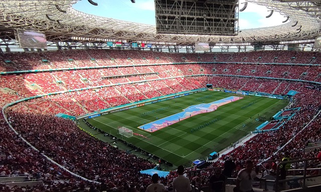 展现自己的 展现自己的