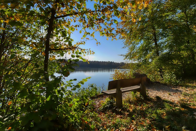 德里足球的 德里足球的