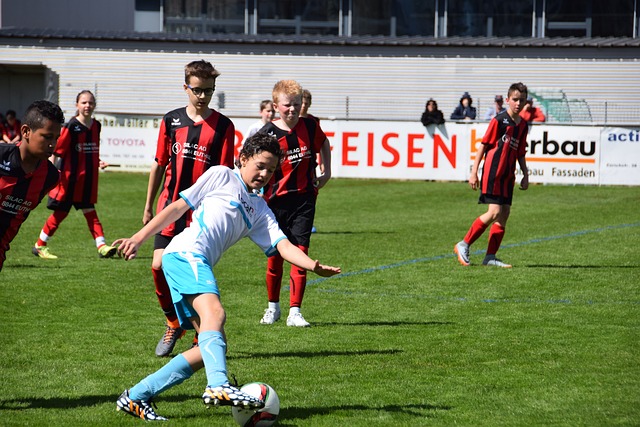 后赛争夺激 后赛争夺激