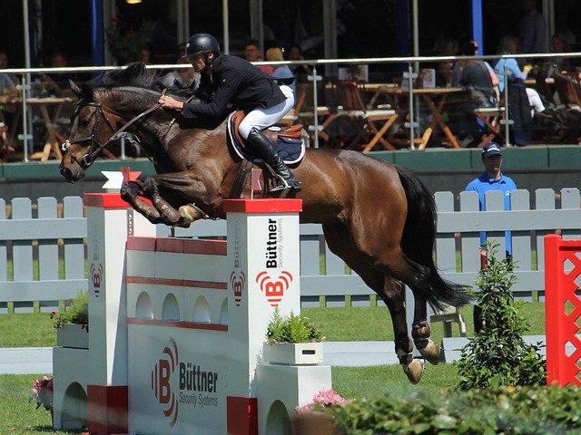 欧冠夺冠赔 欧冠夺冠赔