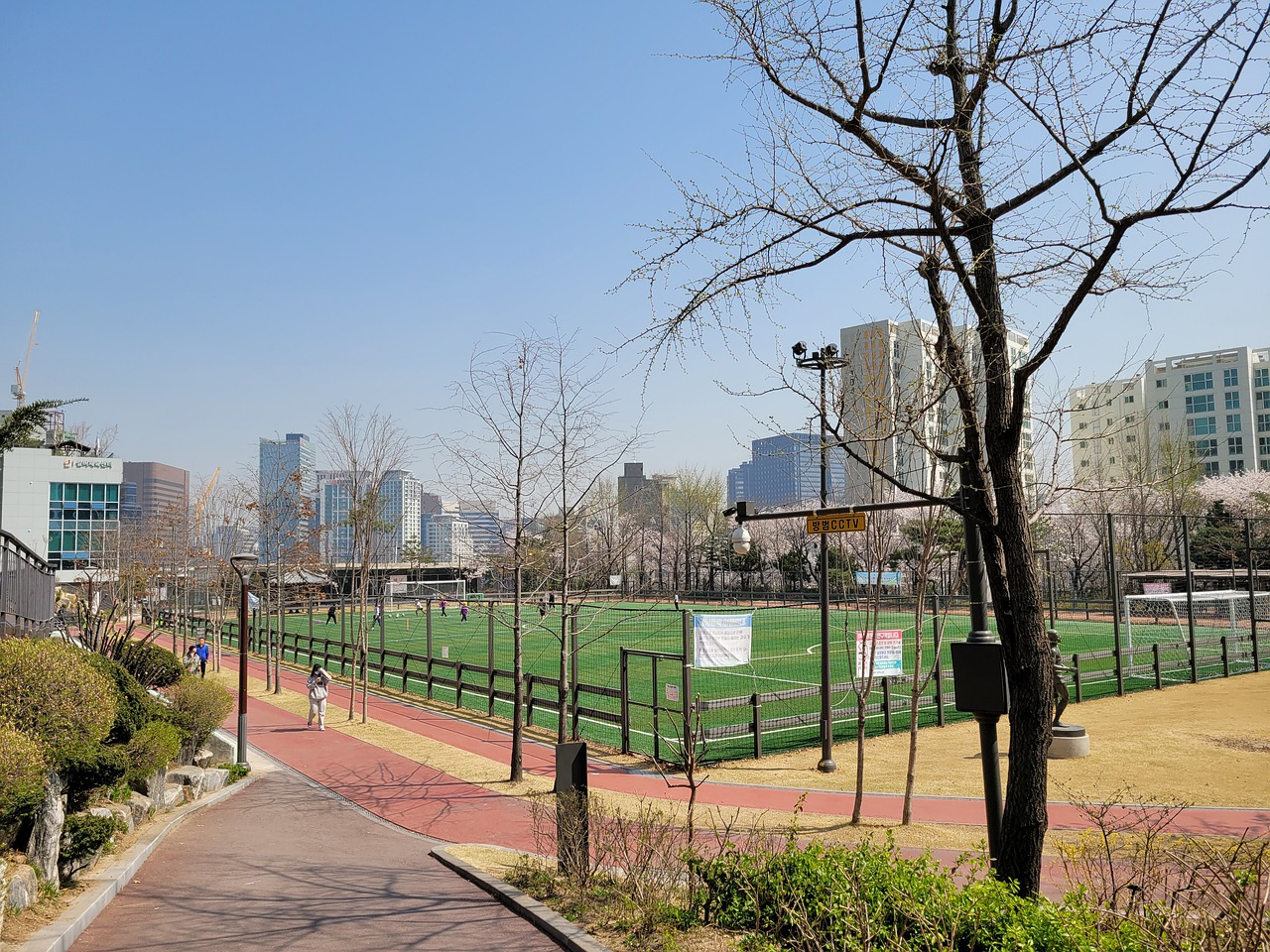 赛排名第一 赛排名第一